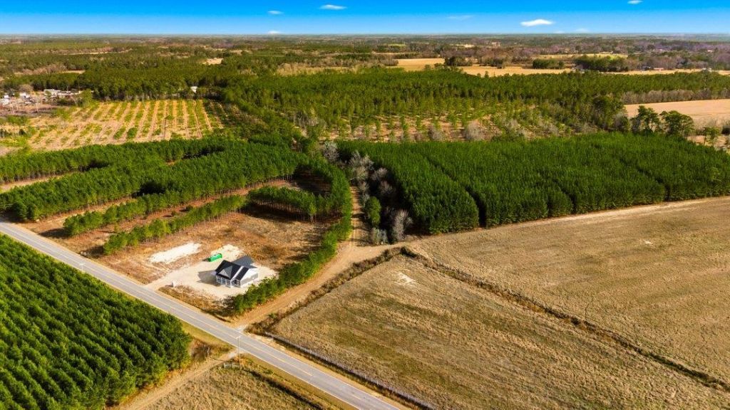 Acreage Highway 45  Photo 7