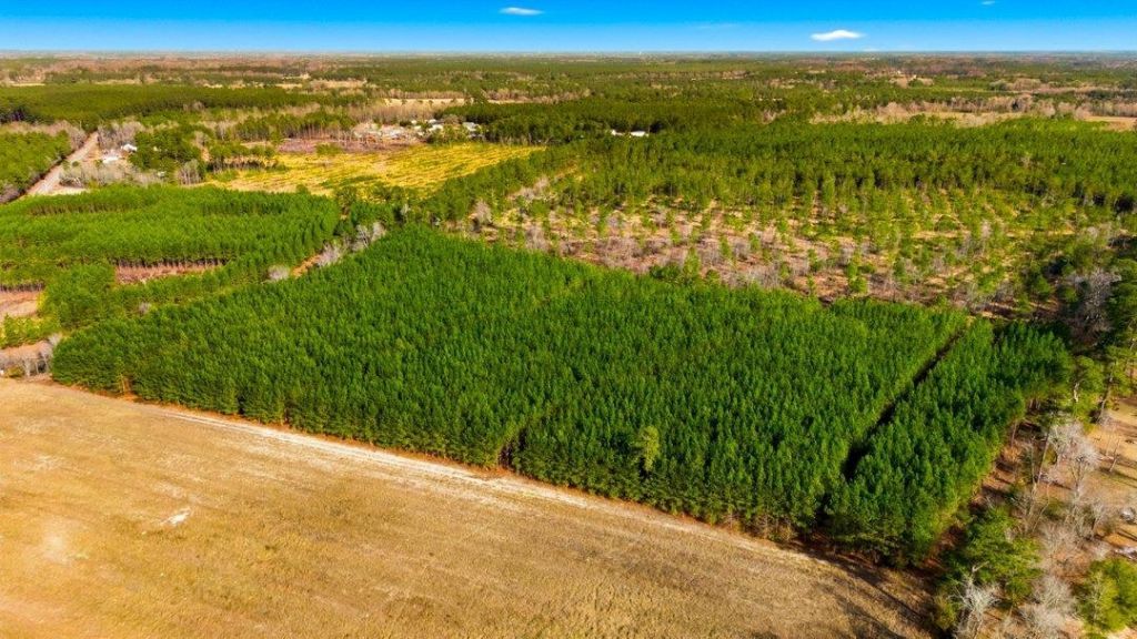 Acreage Highway 45  Photo 8