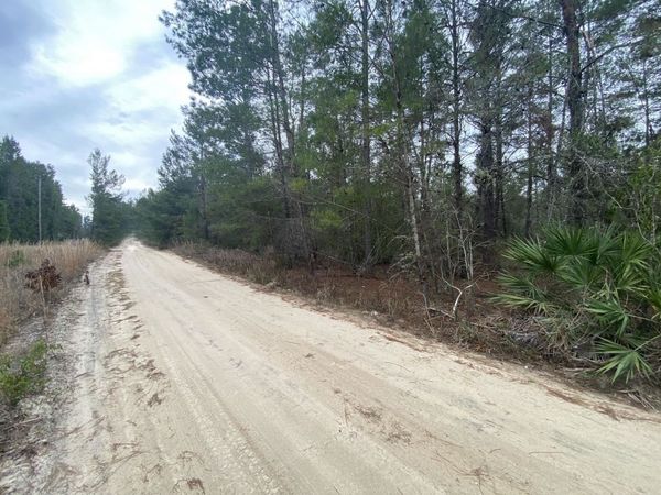 211 Suge Ln., Florahome, FL 32140