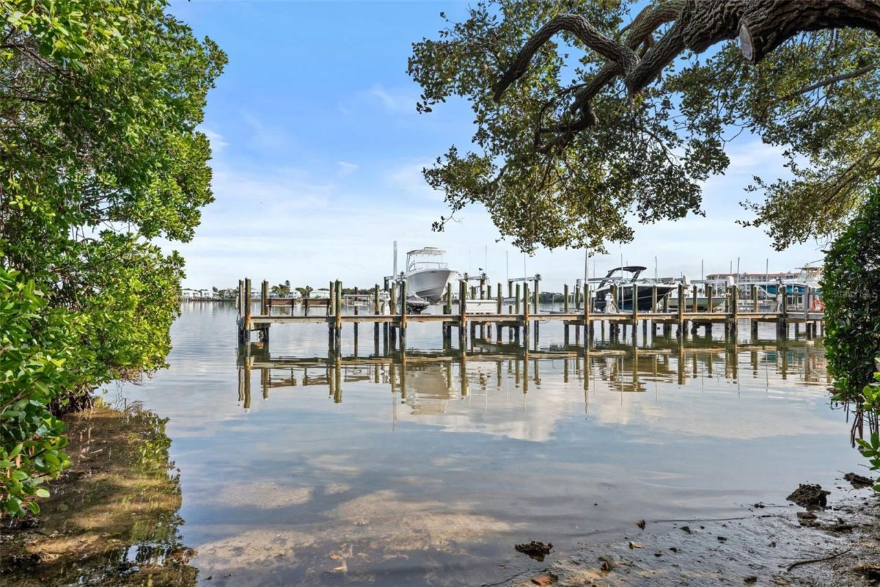 144 Banyan Bay Drive, Saint Petersburg, FL 33705 Photo