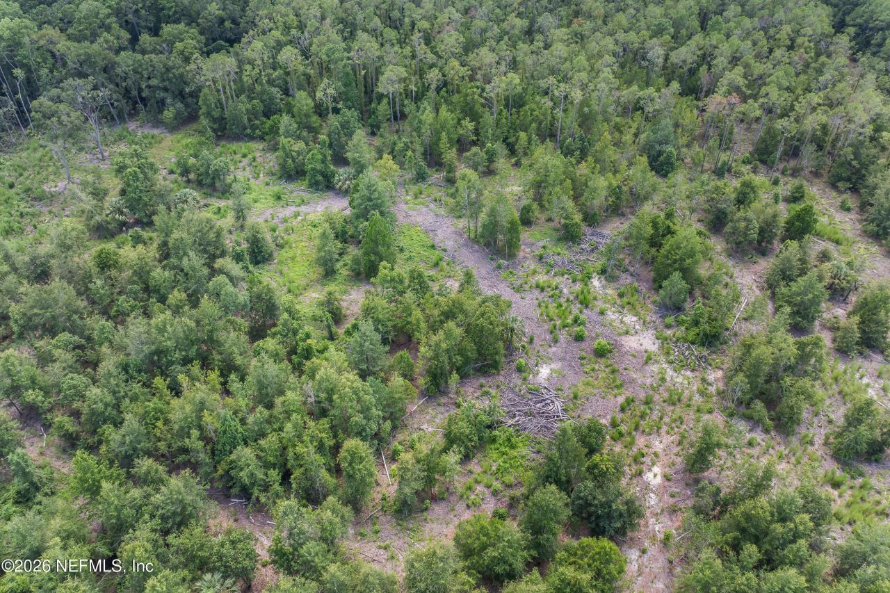 2005 County Road 16, Green Cove Springs, FL 32043 Photo