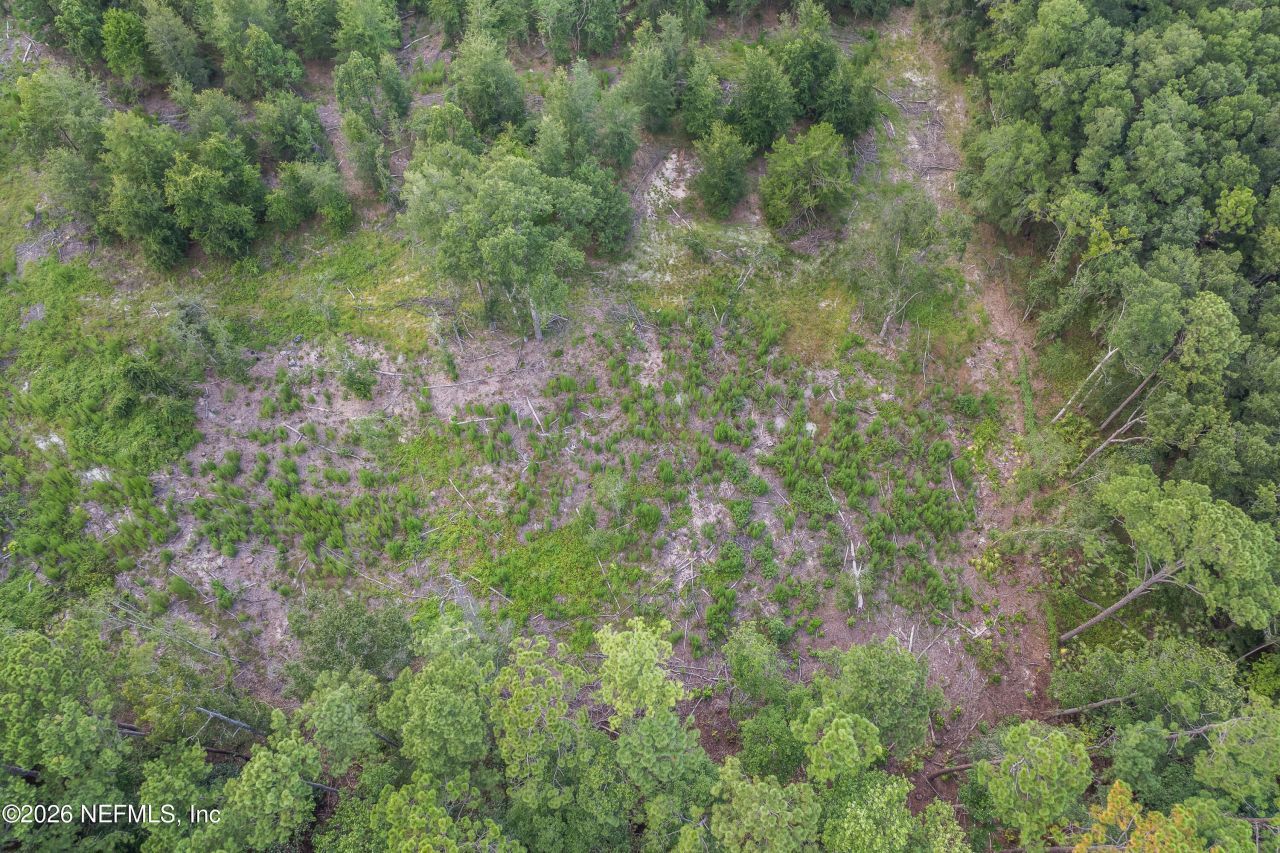 2005 County Road 16, Green Cove Springs, FL 32043 Photo