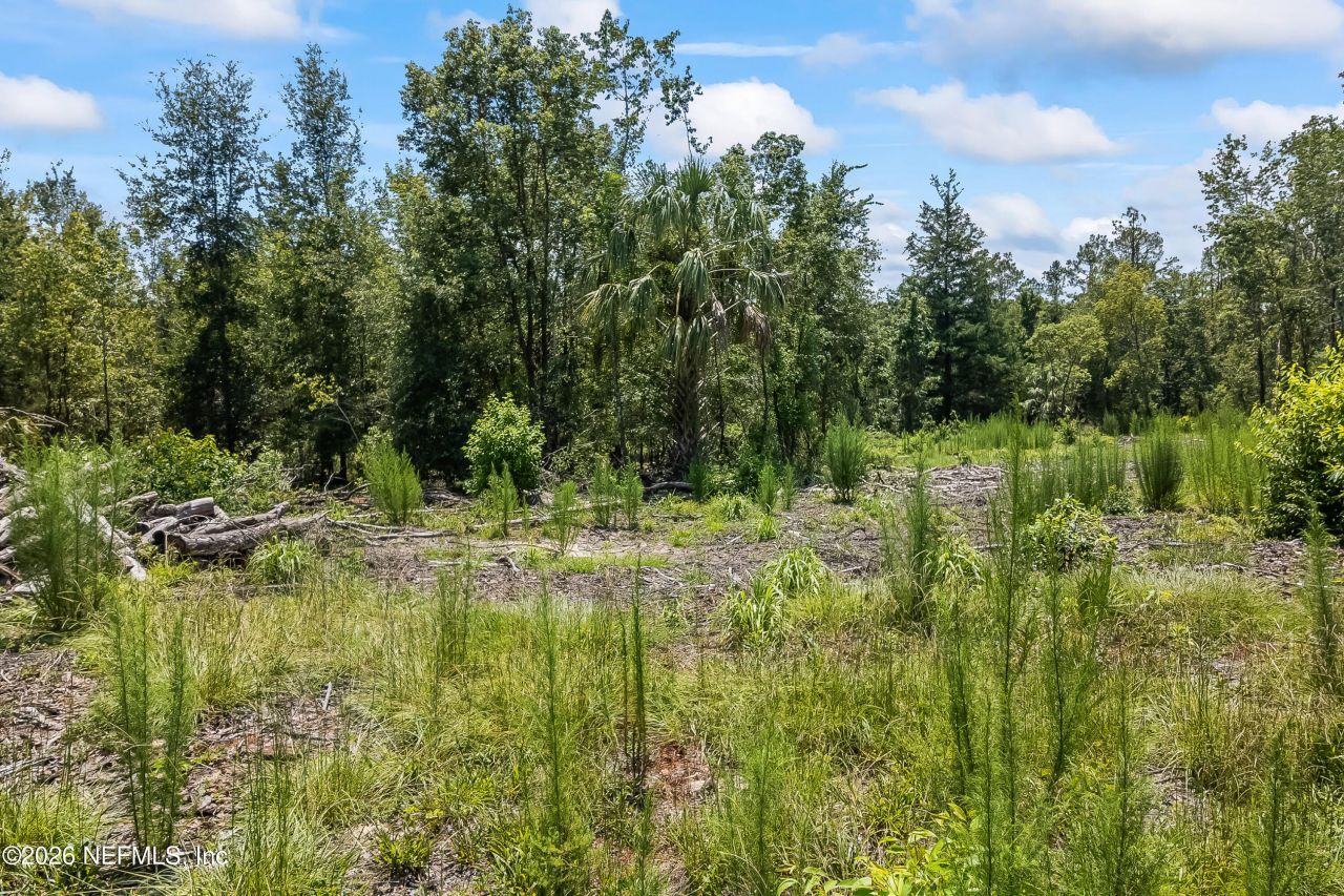 2005 County Road 16, Green Cove Springs, FL 32043 Photo