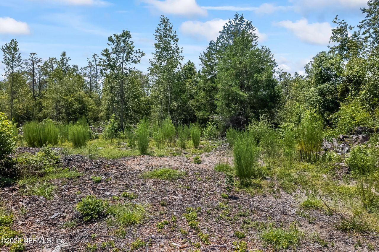 2005 County Road 16, Green Cove Springs, FL 32043 Photo