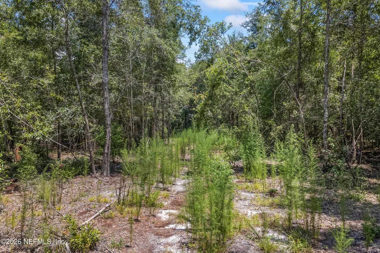 2005 County Road 16, Green Cove Springs, FL 32043 Photo