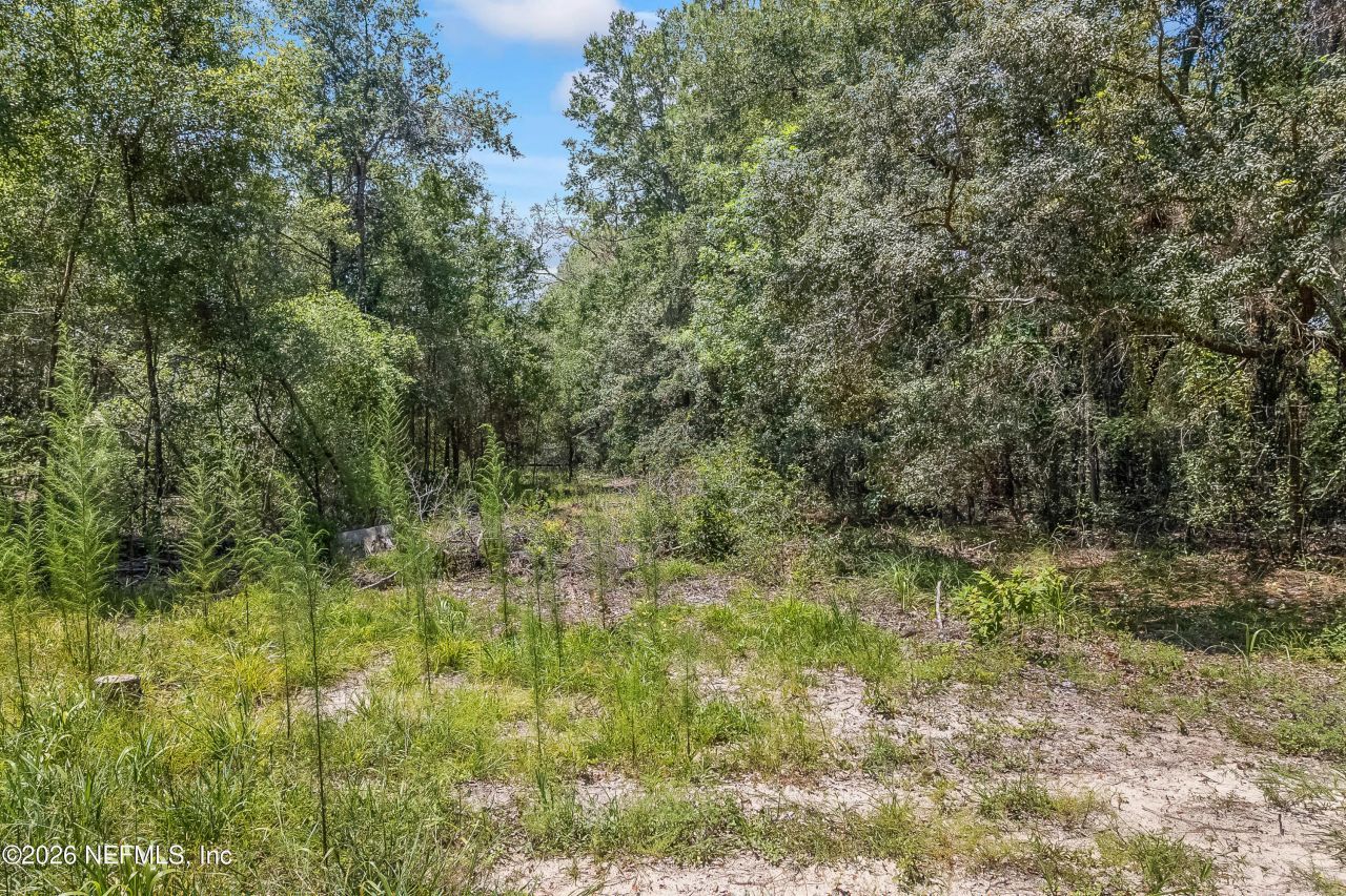 2005 County Road 16, Green Cove Springs, FL 32043 Photo