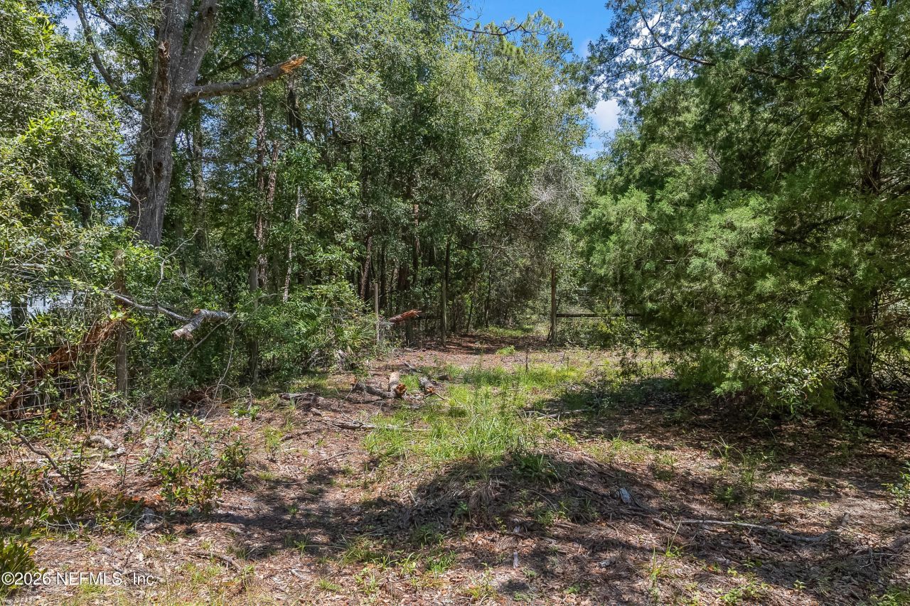 2005 County Road 16, Green Cove Springs, FL 32043 Photo