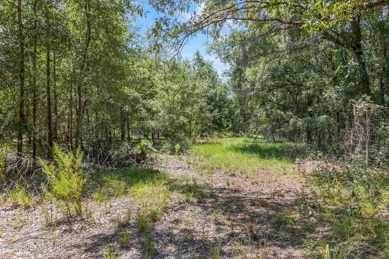 2005 County Road 16, Green Cove Springs, FL 32043 Photo