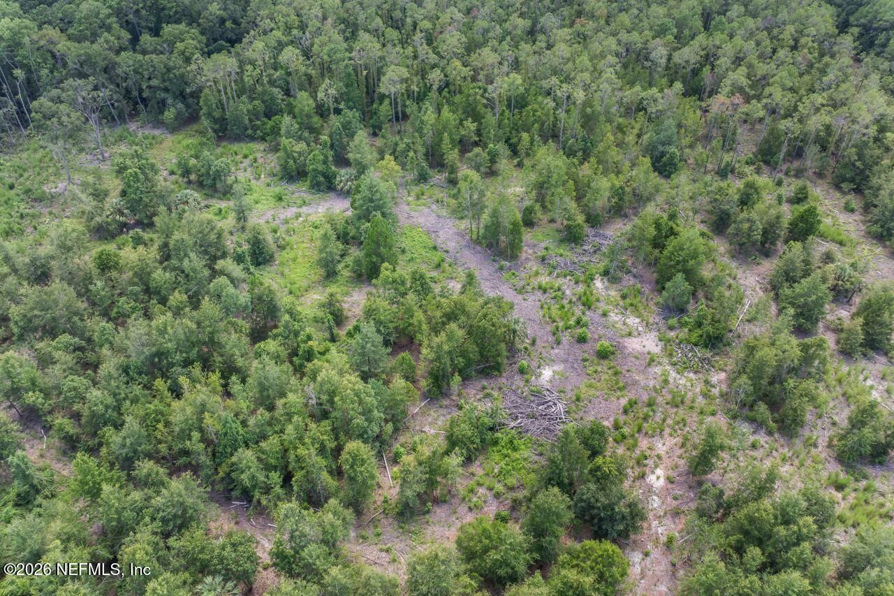 2005 County Road 16, Green Cove Springs, FL 32043 Photo