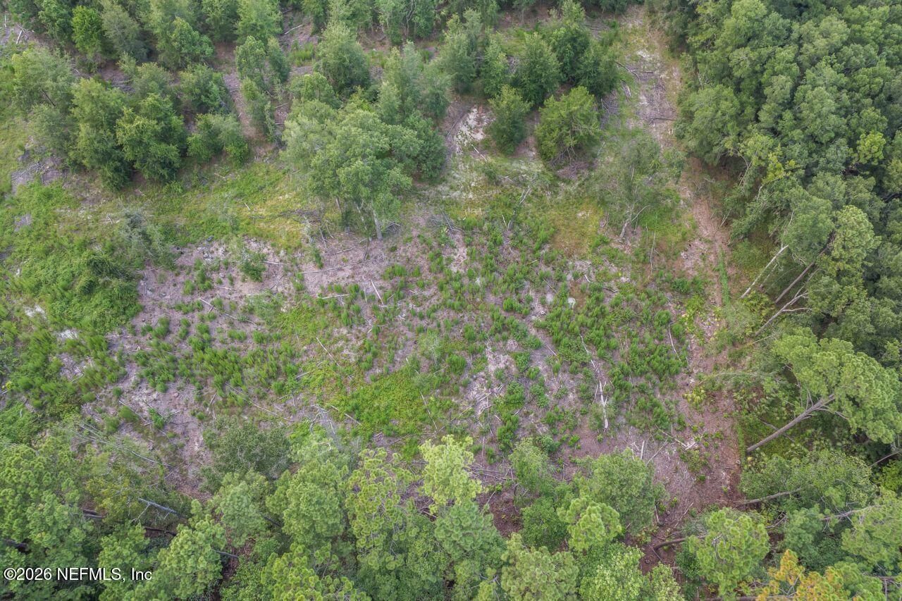 2005 County Road 16, Green Cove Springs, FL 32043 Photo