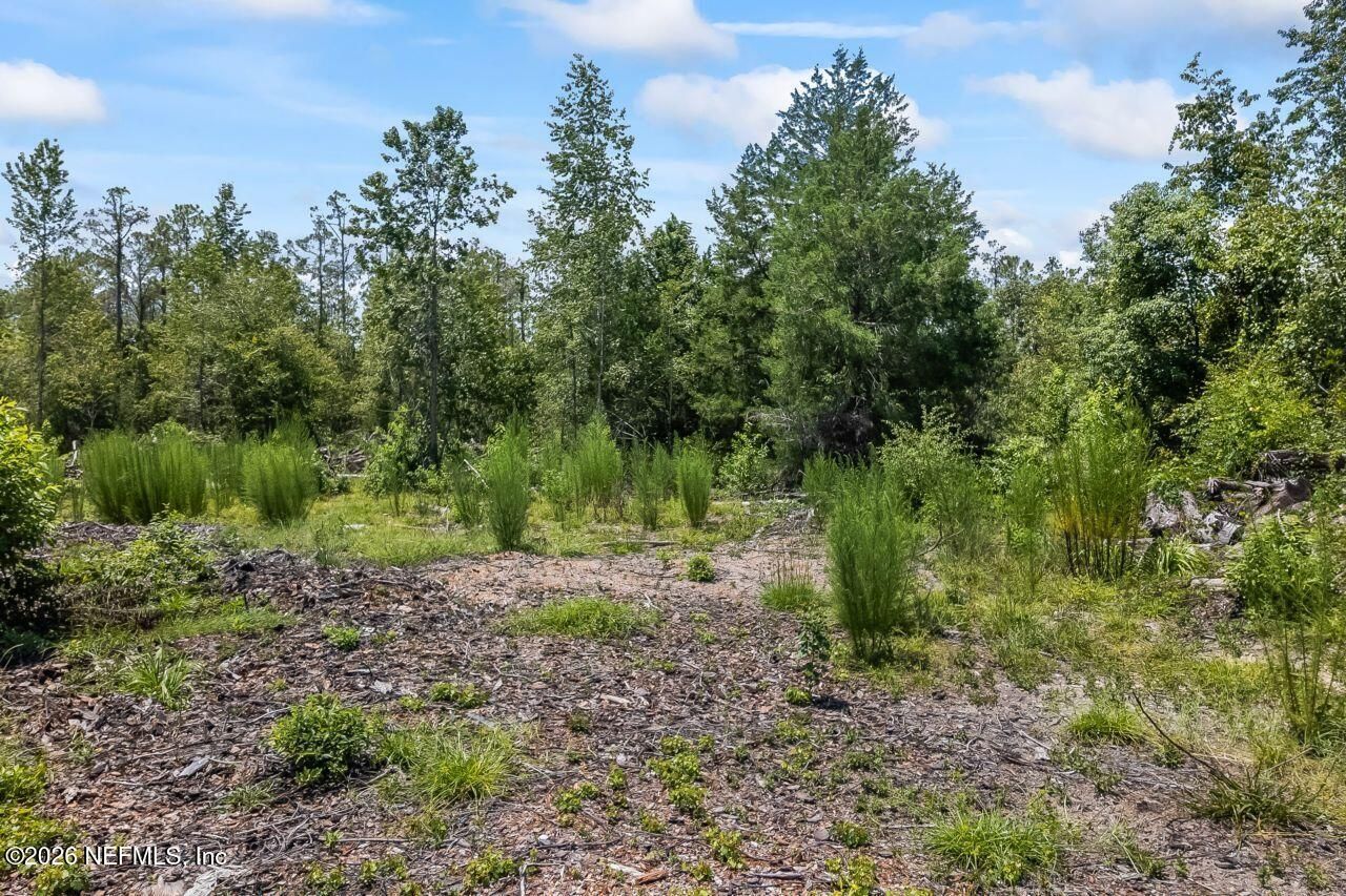 2005 County Road 16, Green Cove Springs, FL 32043 Photo