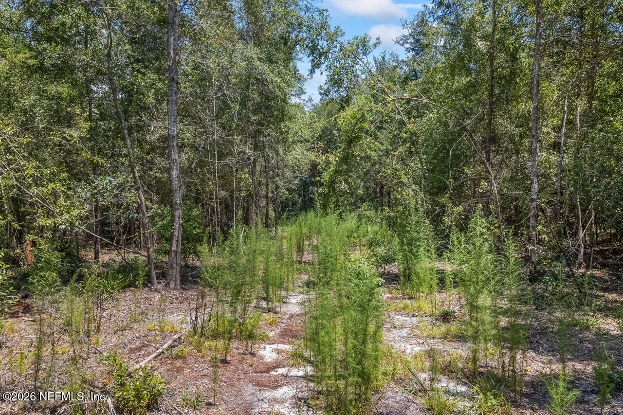 2005 County Road 16, Green Cove Springs, FL 32043 Photo