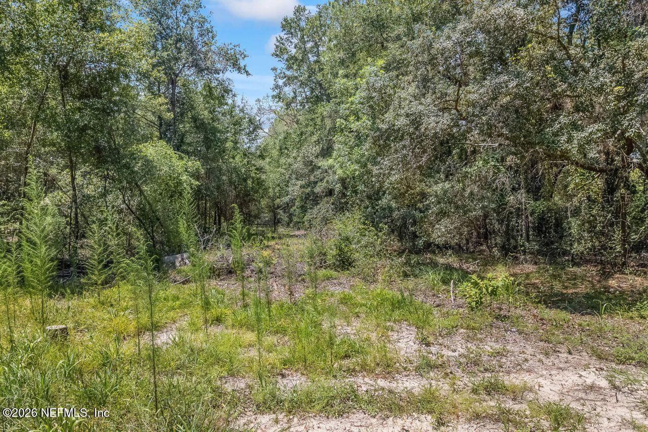 2005 County Road 16, Green Cove Springs, FL 32043 Photo