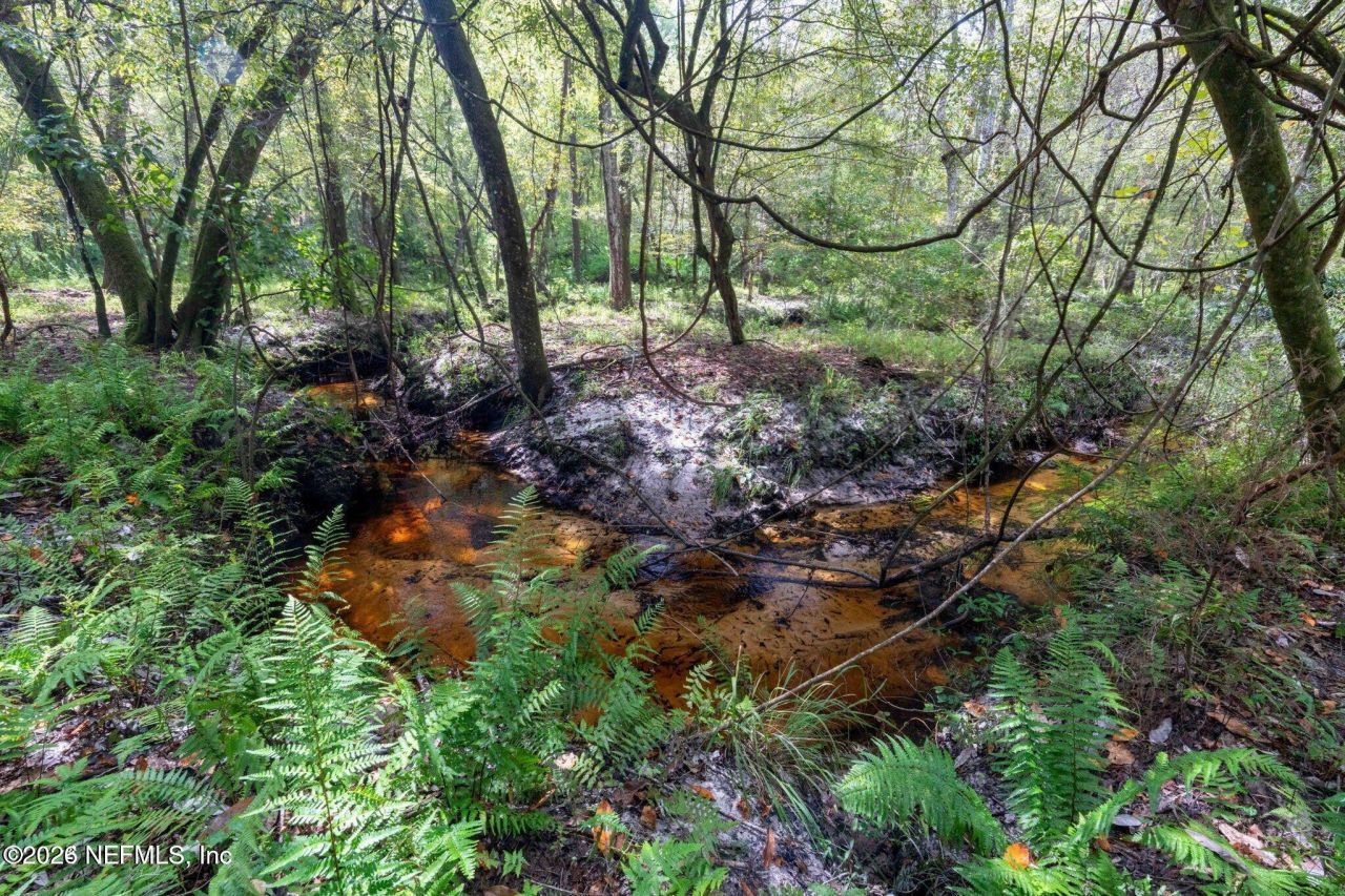 2005 County Road 16, Green Cove Springs, FL 32043 Photo