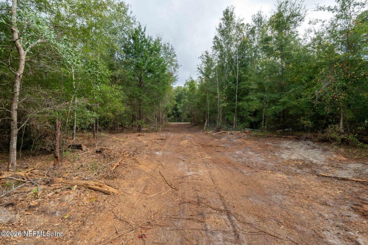 2005 County Road 16, Green Cove Springs, FL 32043 Photo