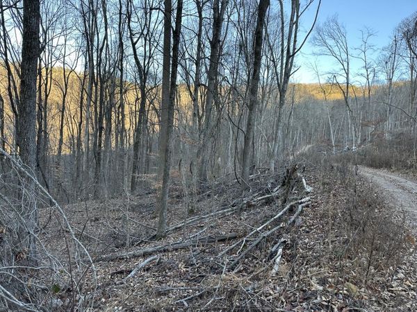 Lot 32 33 Stone Ridge Road Road, Pikeville, TN 37367