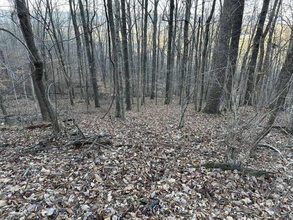 Lot 76 Fox Ridge, Pikeville, TN 37367