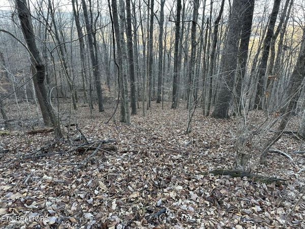 00 Fox Ridge Road, Pikeville, TN 37367