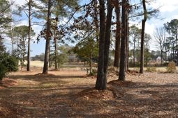 842 Bentwood Circle photo 4