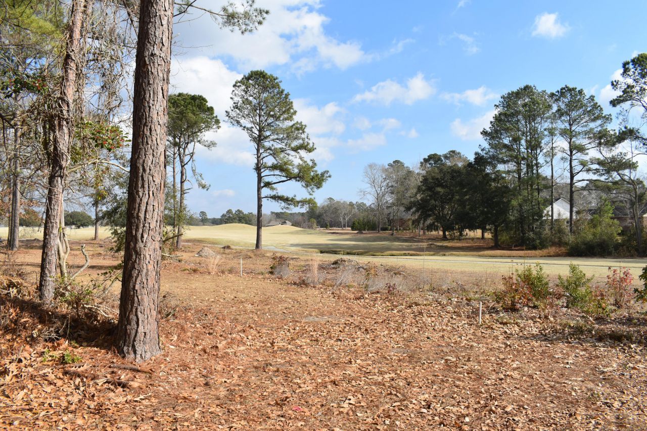 842 Bentwood Circle Photo 4