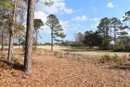 842 Bentwood Circle photo 4