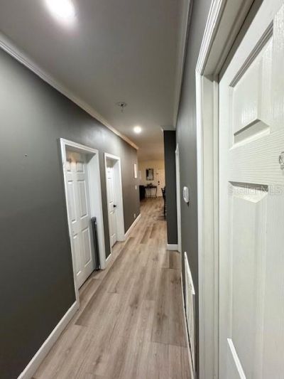 5054 Mcdonald Road, Zellwood, FL 32798 Photo