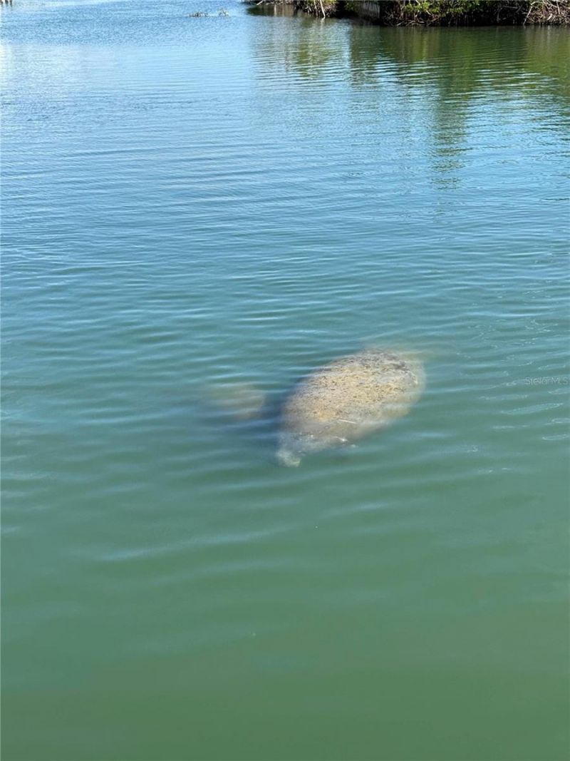 8092 Little Gasparilla Island, Placida, FL 33946 Photo