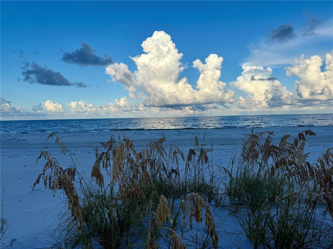 8092 Little Gasparilla Island, Placida, FL 33946 Photo
