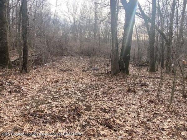 0 Kimberly Court, Onondaga, MI 49264