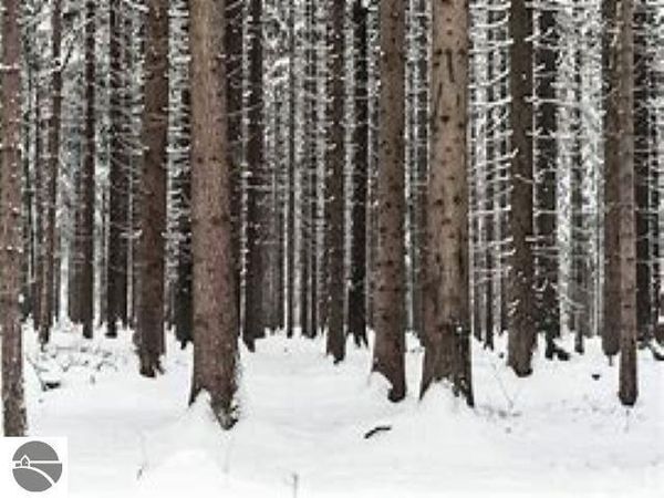 Garfield Road, Kingsley, MI 49649