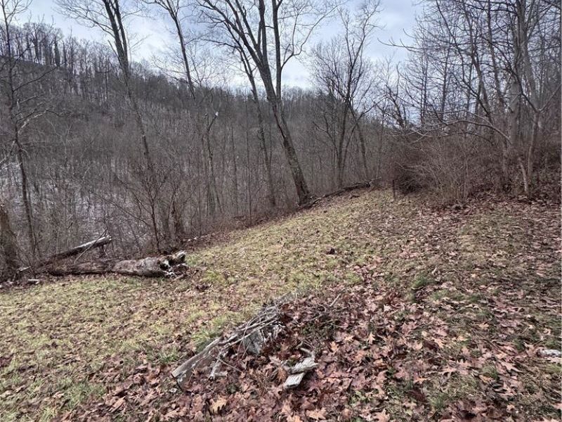 2331 Echo Hill Road, Malta, OH 43758 Photo 23