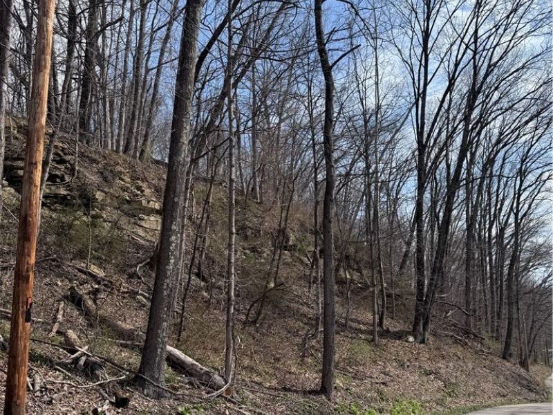 2331 Echo Hill Road, Malta, OH 43758 Photo 32