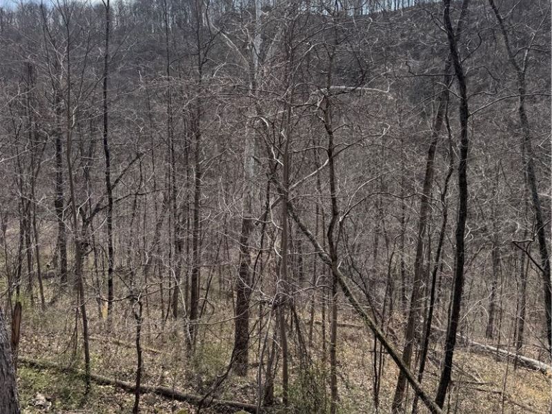 2331 Echo Hill Road, Malta, OH 43758 Photo 33