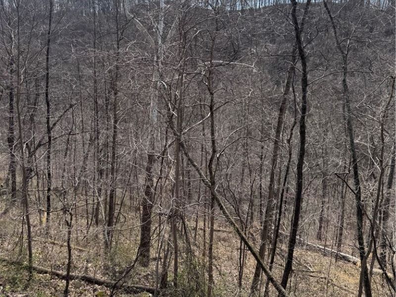 2331 Echo Hill Road, Malta, OH 43758 Photo 34