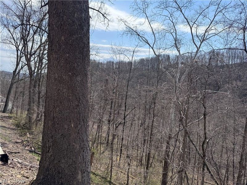 2331 Echo Hill Road, Malta, OH 43758 Photo 35