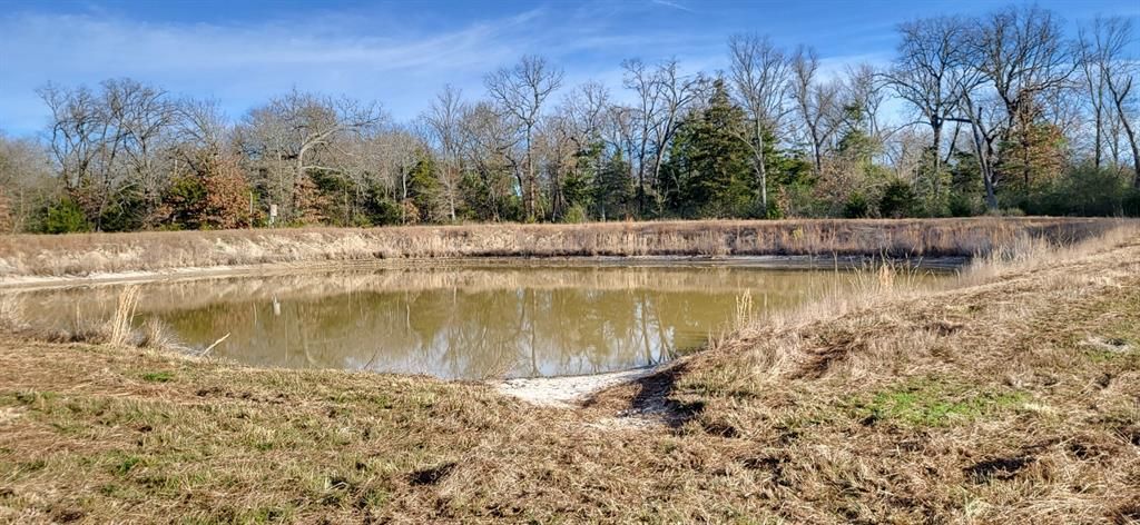 1191 County Road 2420, Pickton, TX 75471 Main Photo