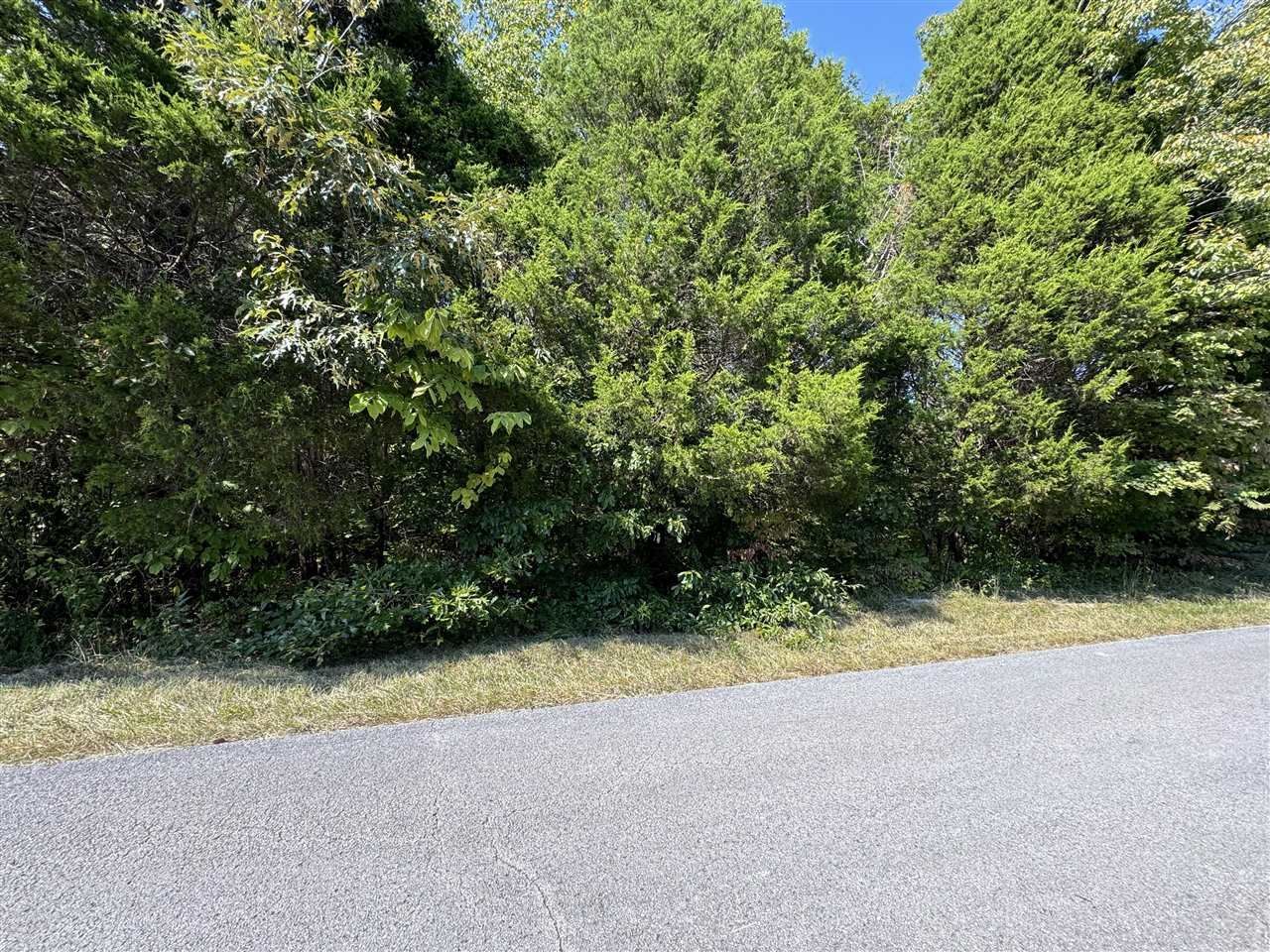 Tract 1 William Simmons Road, Bowling Green, KY 42101 Main Photo