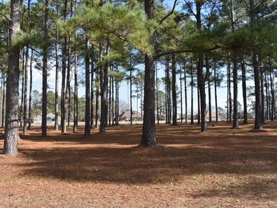 400 Pine Lake Court, Manning, SC 29102