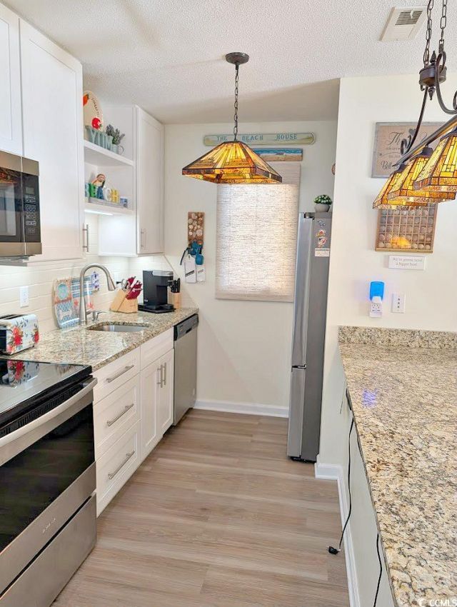 207 Double Eagle Dr. Photo 21