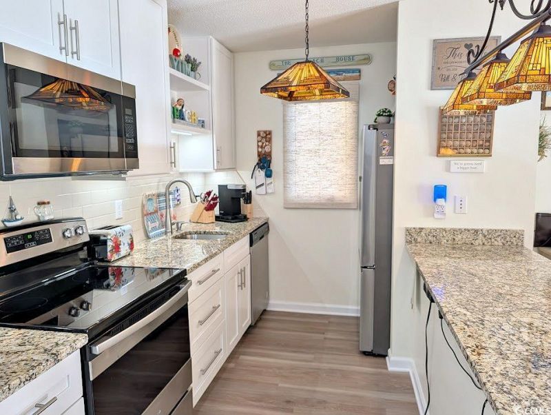 207 Double Eagle Dr. Photo 22