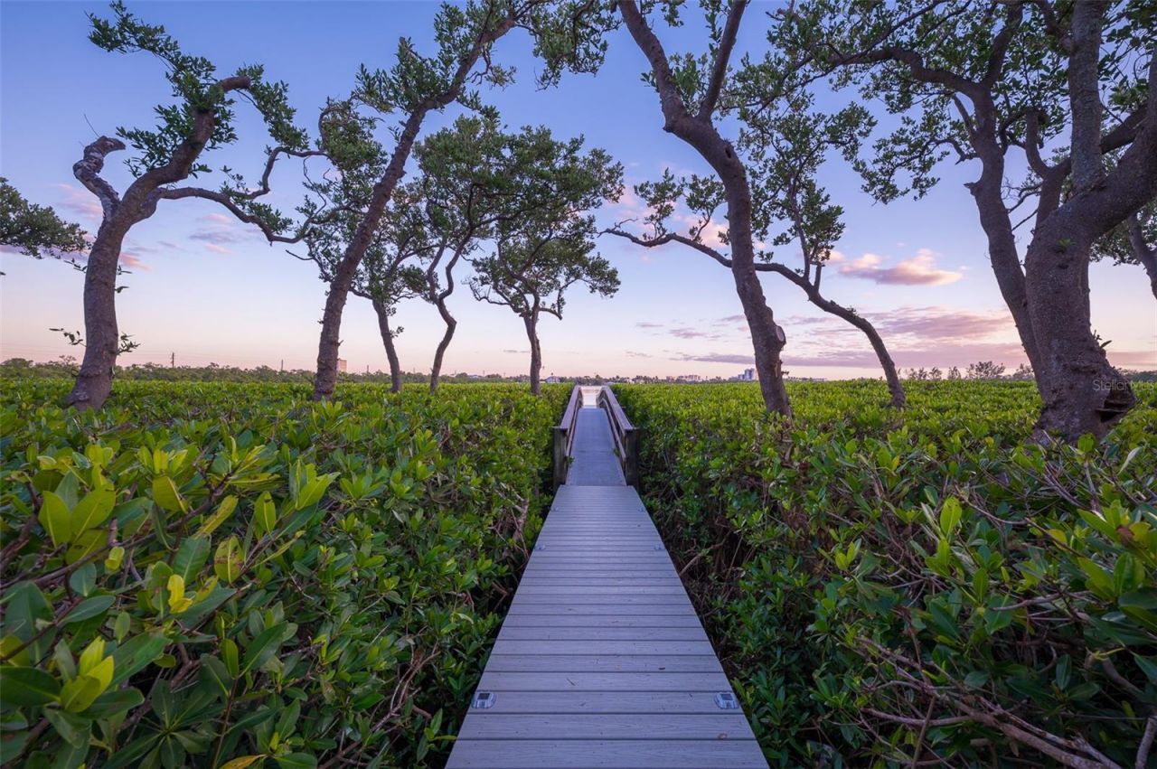 222 Morningside Drive, Sarasota, FL 34236 Photo