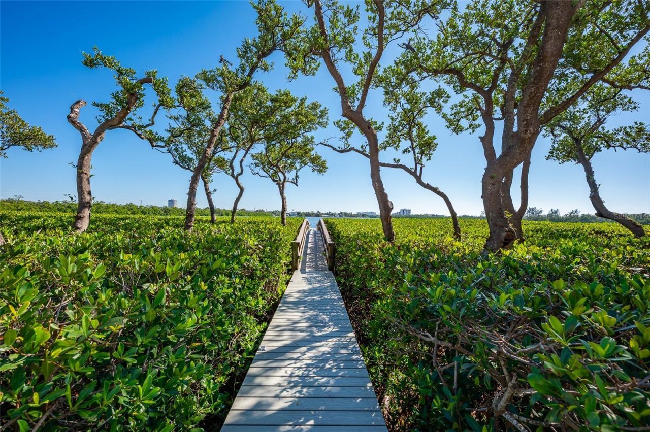 222 Morningside Drive, Sarasota, FL 34236 Photo