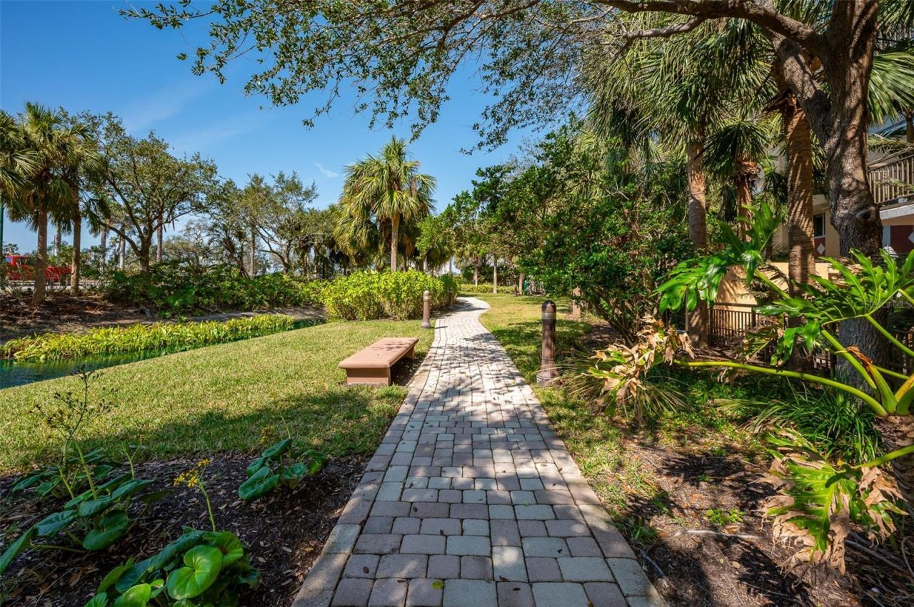 800 N Tamiami Trail, Unit 815, Sarasota, FL 34236 Photo