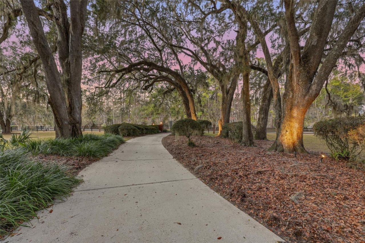 12003 NW 112th Avenue, Alachua, FL 32615 Photo