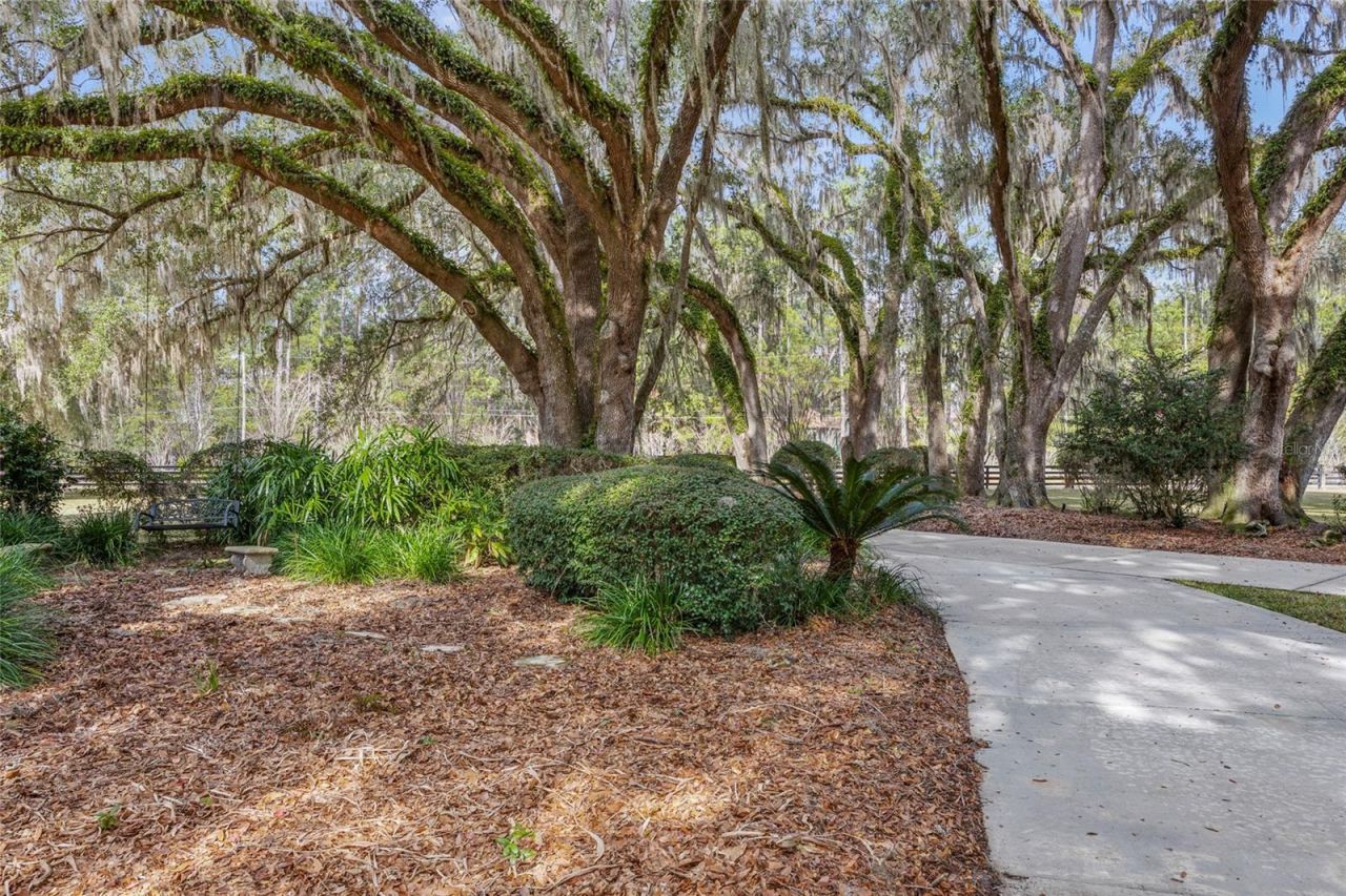 12003 NW 112th Avenue, Alachua, FL 32615 Photo