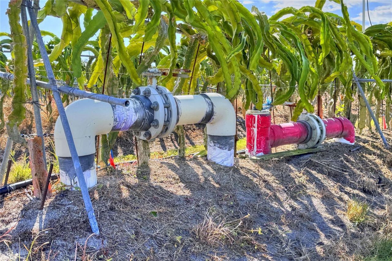 6018 NW County Road 661a, Arcadia, FL 34266 Photo