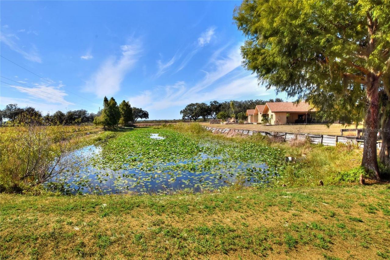 6018 NW County Road 661a, Arcadia, FL 34266 Photo