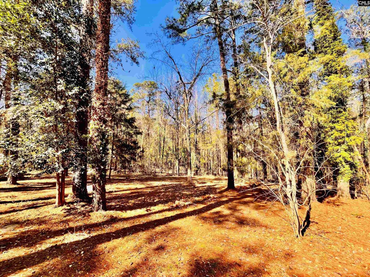 1301 Winterwood Road  Photo 43