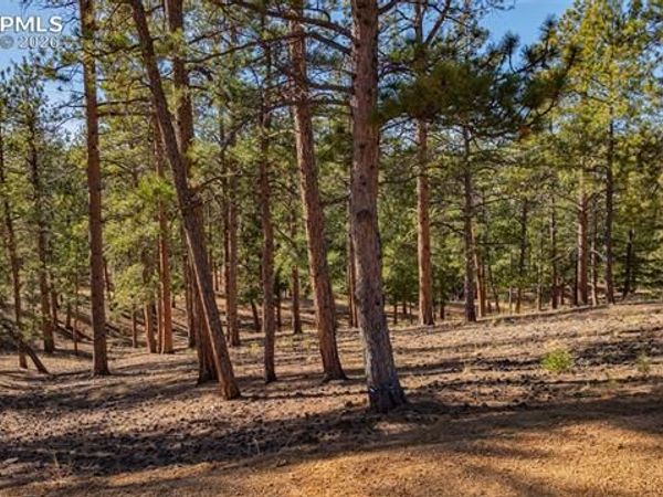 113 Schmittel Drive, Sedalia, CO 80135