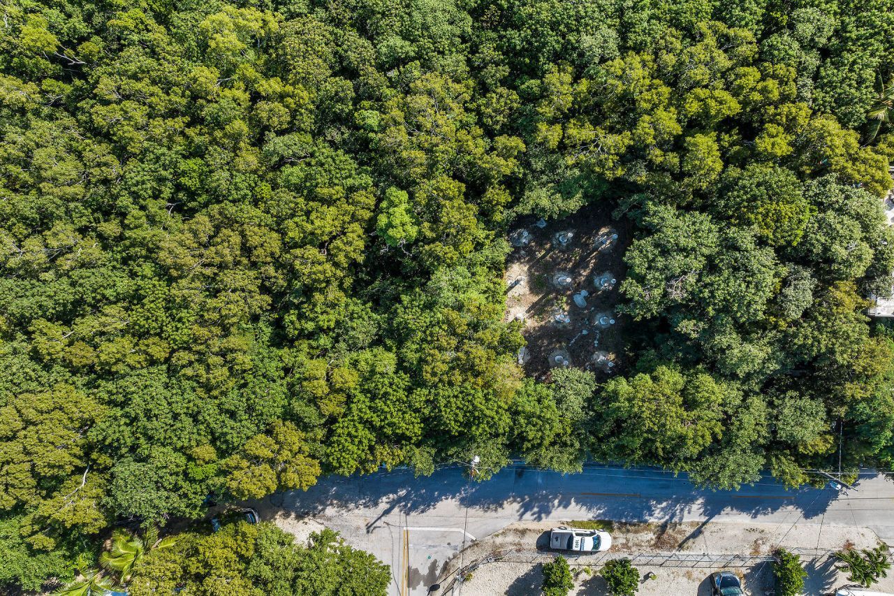 186 Dove Creek Drive, Tavernier, FL 33070 Photo